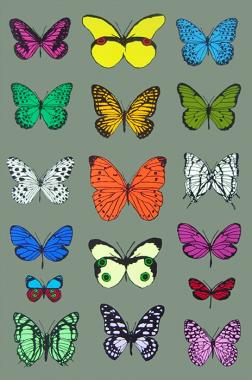 17 Butterflies
